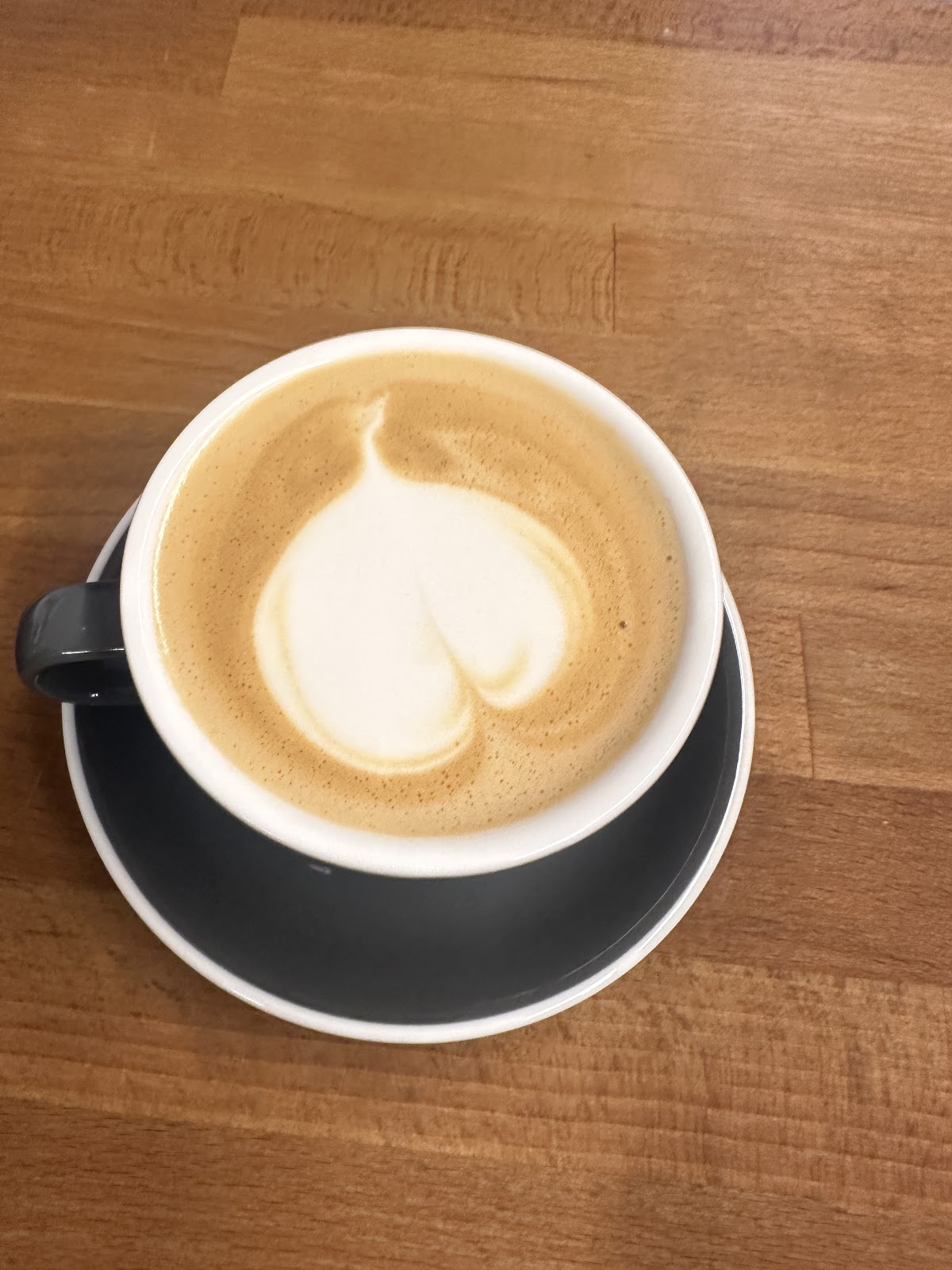 232 Specialty COFFEE SHOP photo 3