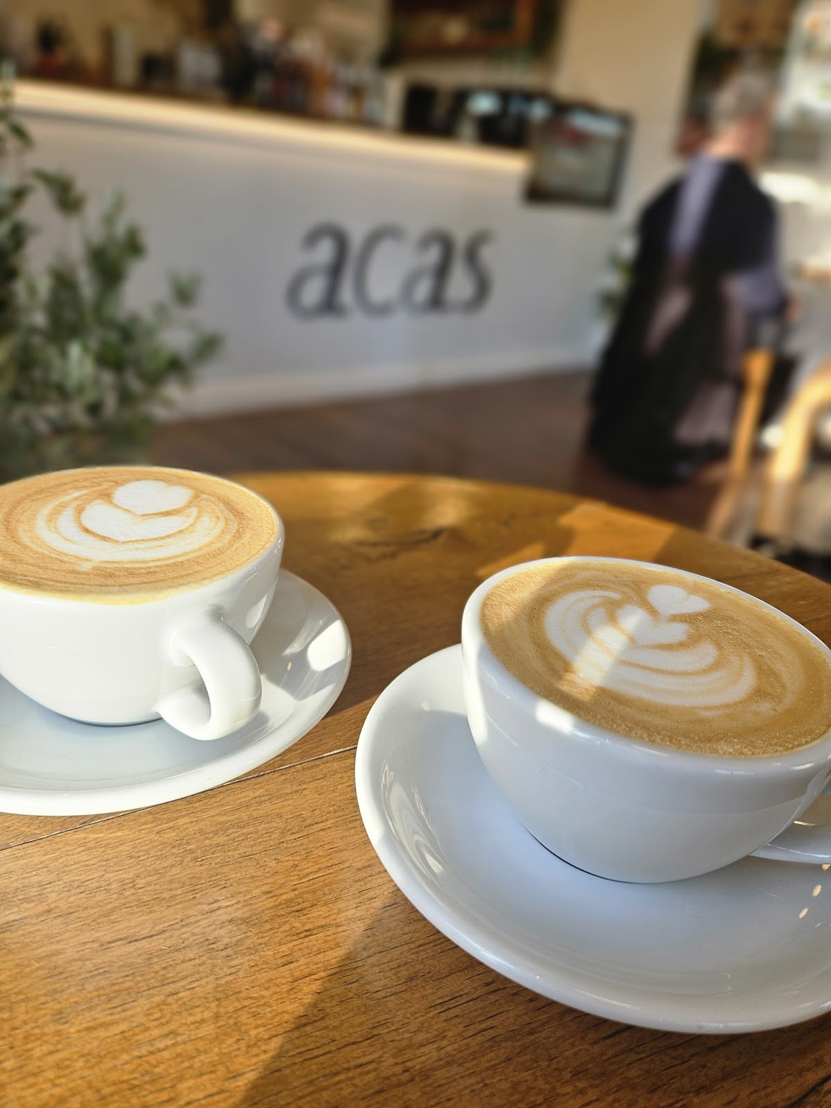 acas specialty coffee photo 10