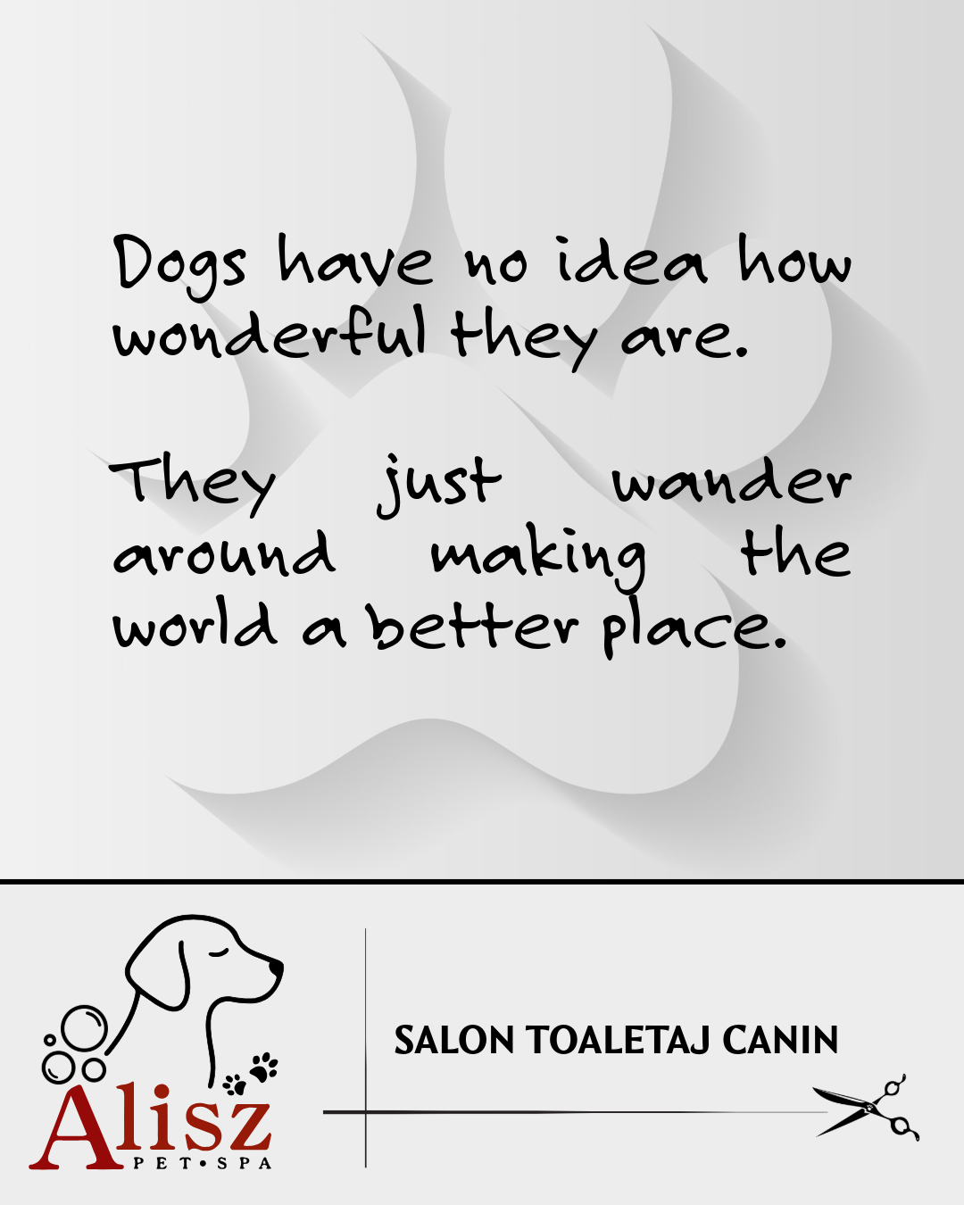 Alisz Pet Spa • Toaletaj canin photo 5