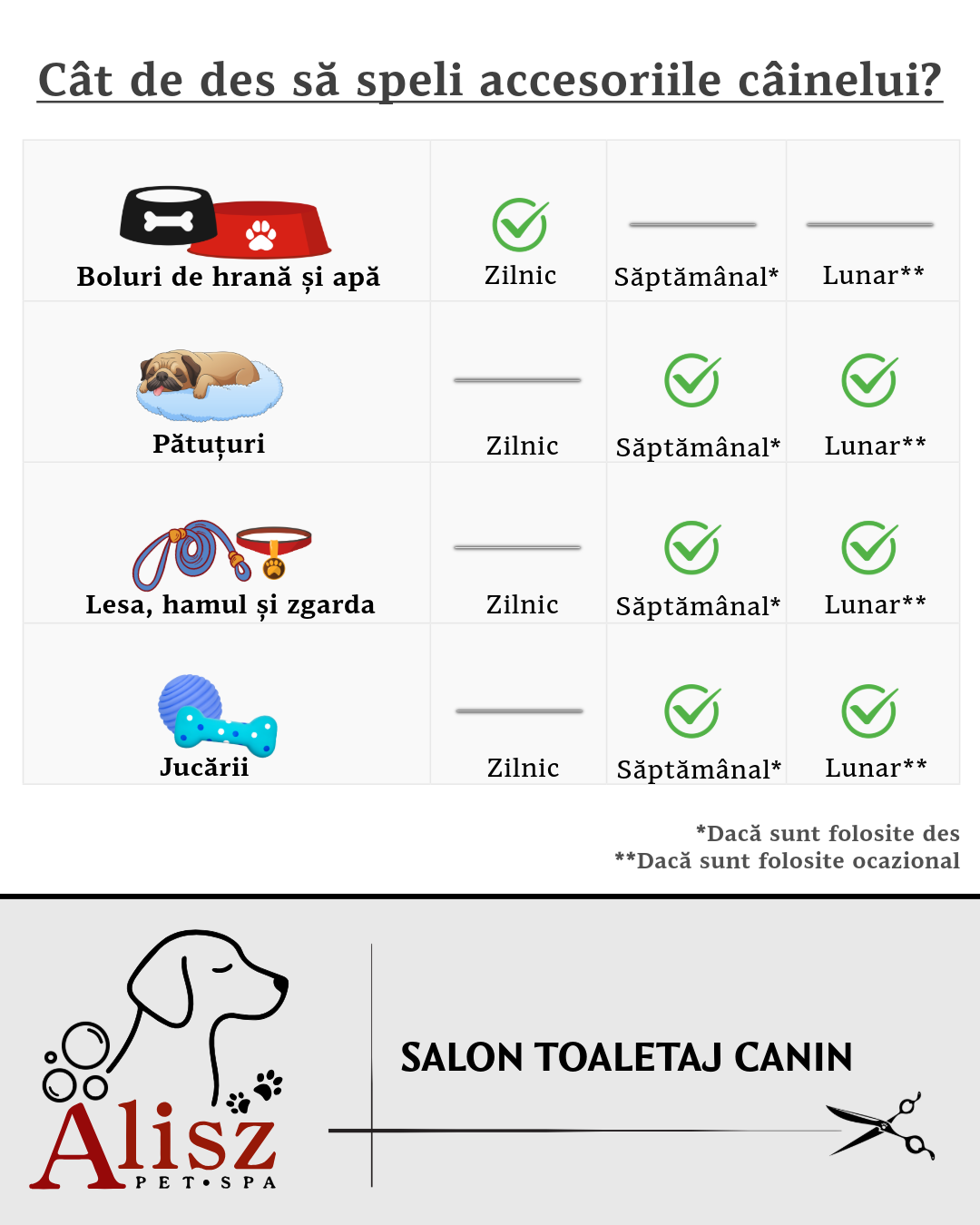 Alisz Pet Spa • Toaletaj canin photo 7