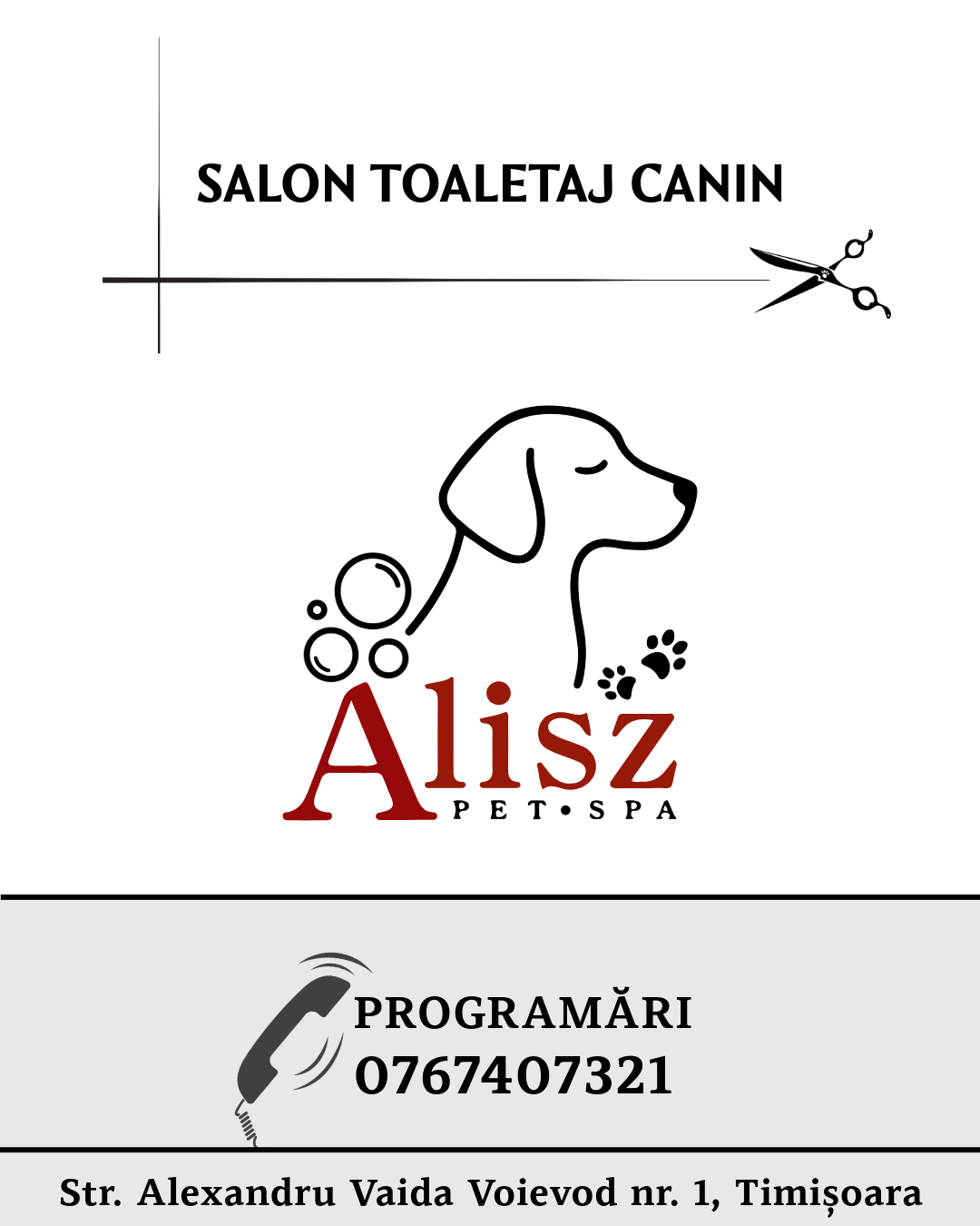 Alisz Pet Spa • Toaletaj canin photo 8