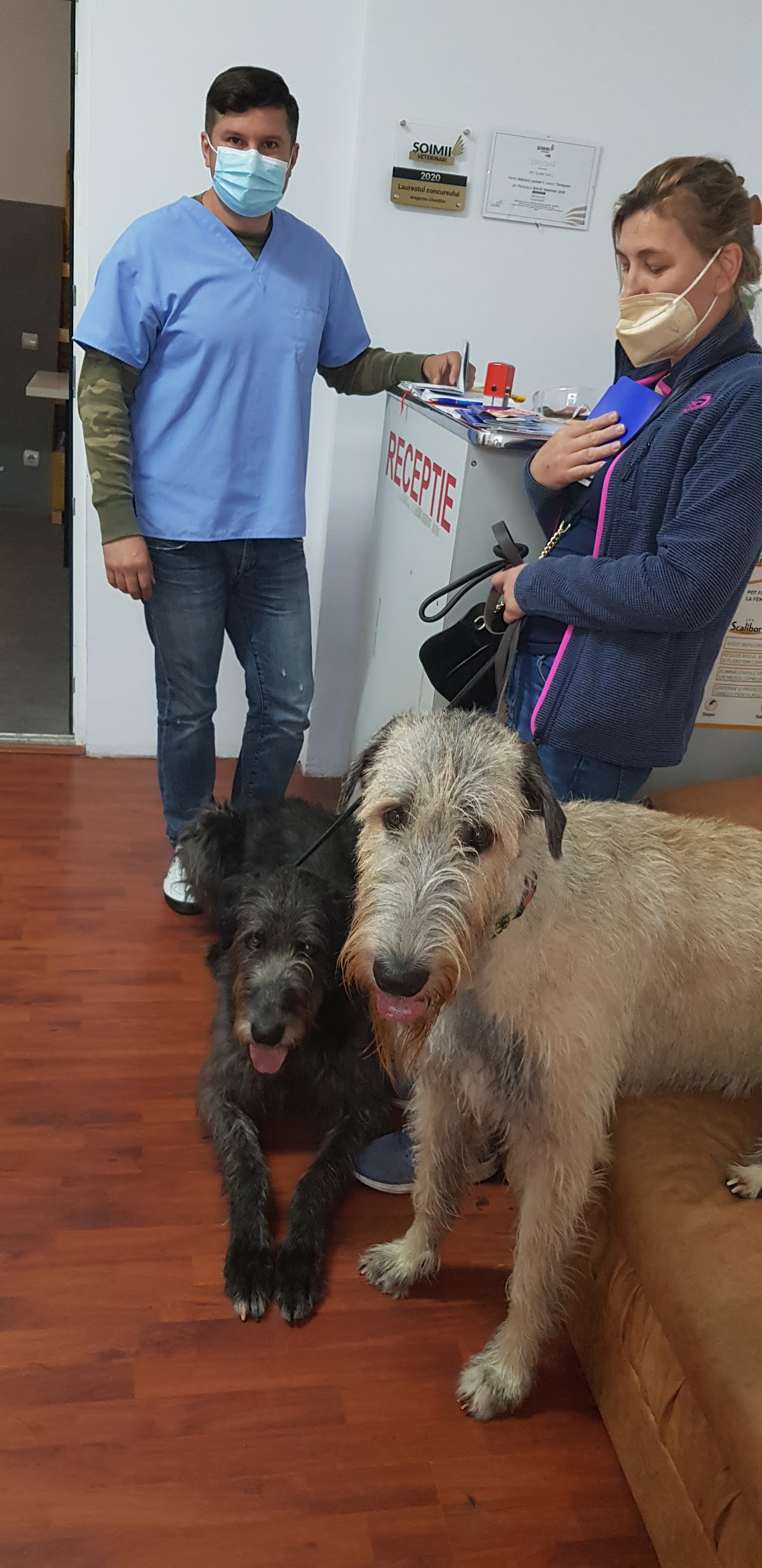 Cabinet Veterinar Pet Clinic Timisoara photo 7