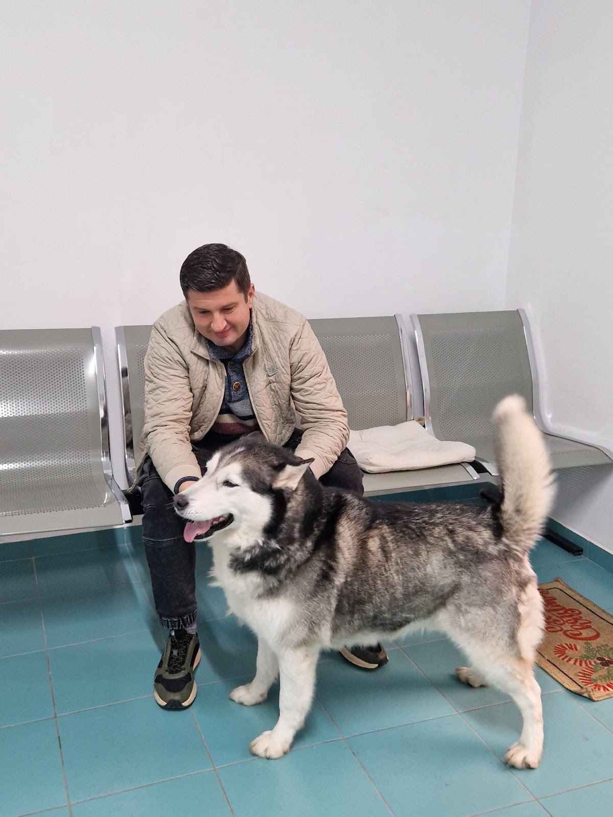 Cabinet Veterinar Pet Clinic Timisoara photo 9