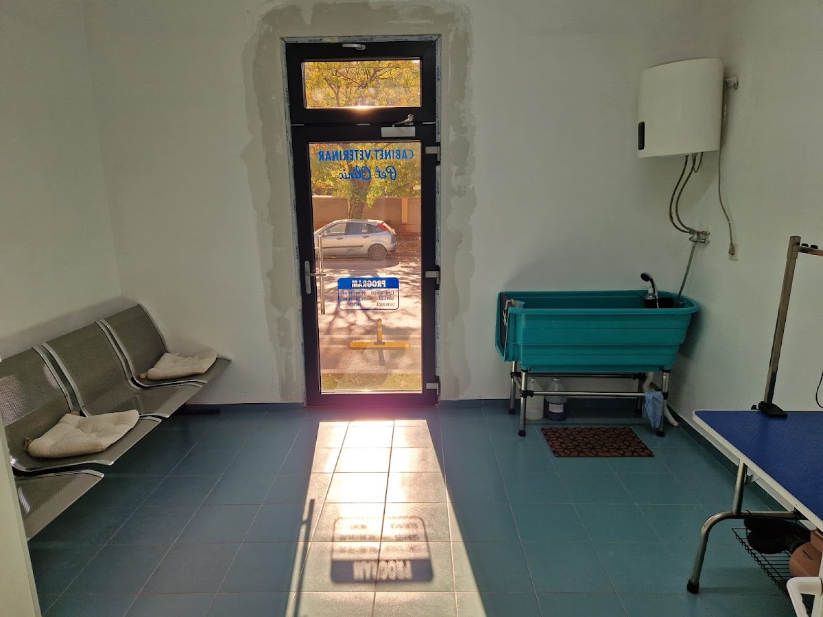 Cabinet Veterinar Pet Clinic Timisoara photo 11