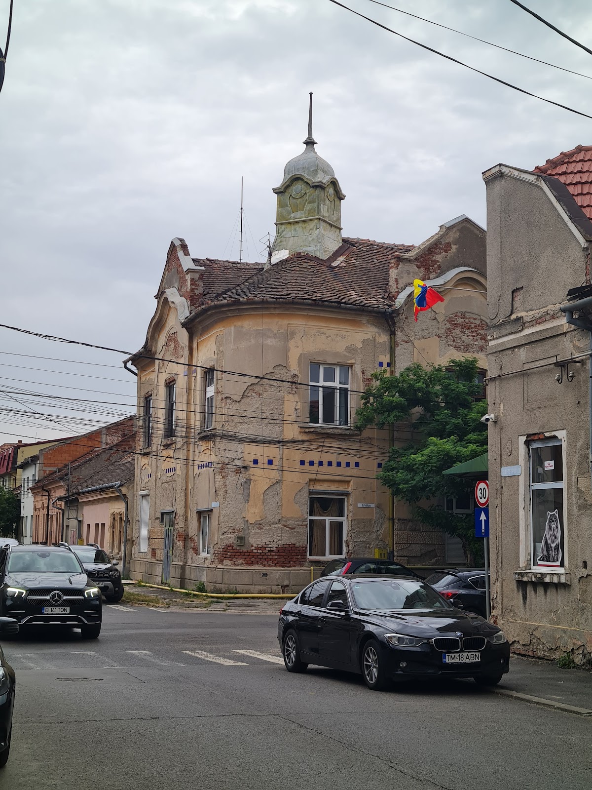 CANIFEL VET S.R.L. photo 4