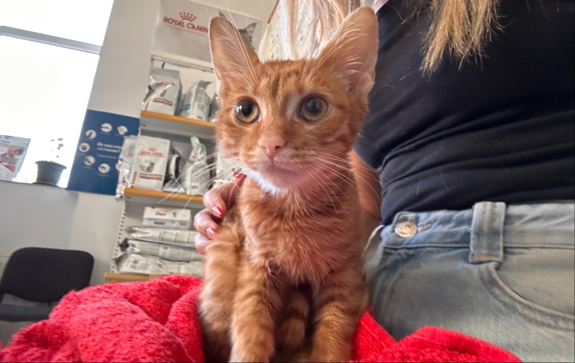 CANIFEL VET S.R.L. photo 5