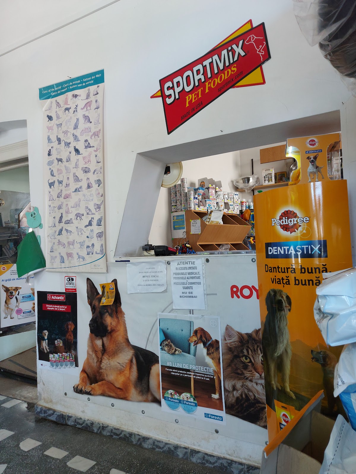 CANIFEL VET S.R.L. photo 7