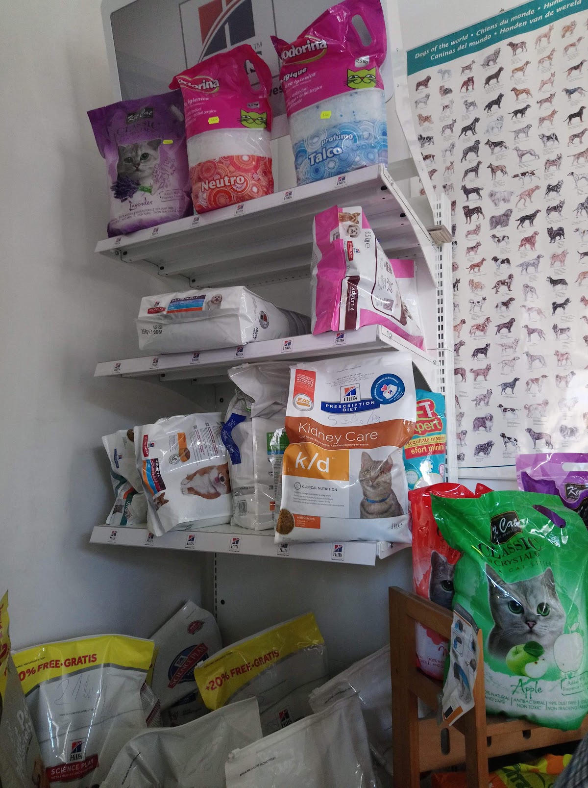 CANIFEL VET S.R.L. photo 11