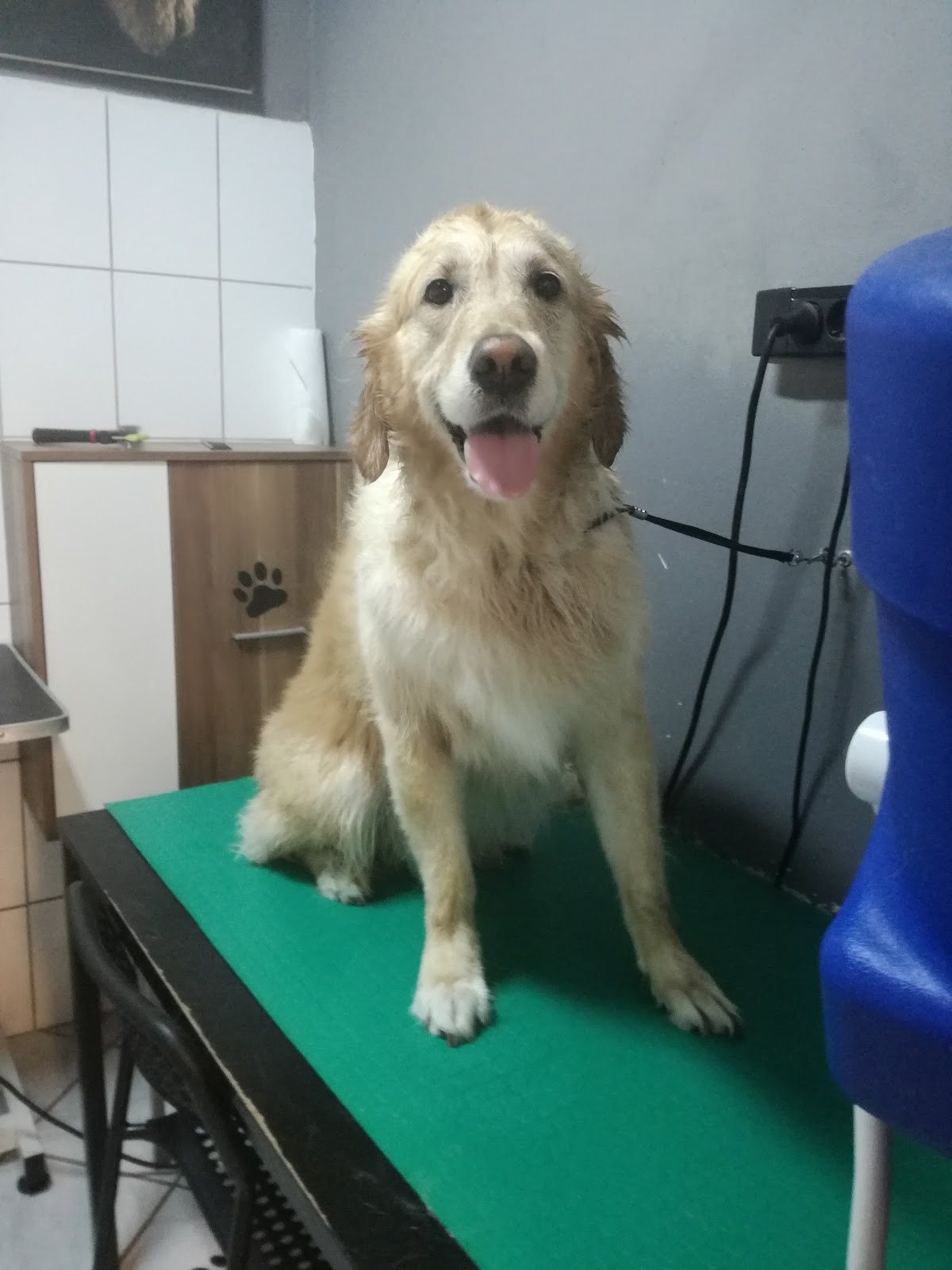 Relax and Grooming photo 1