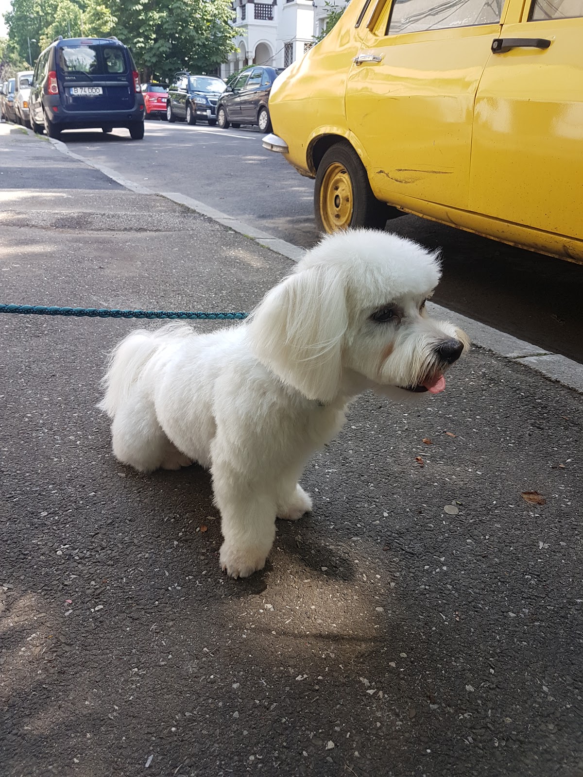 Relax and Grooming photo 5