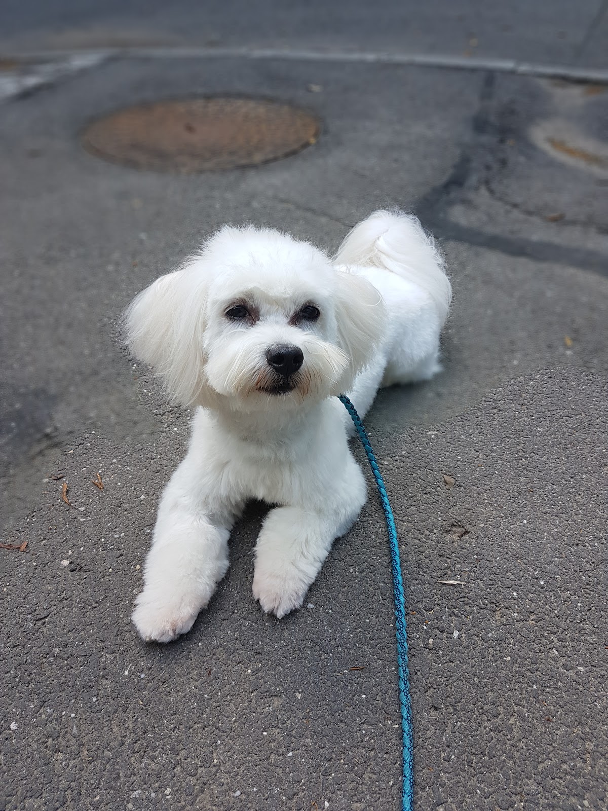 Relax and Grooming photo 6