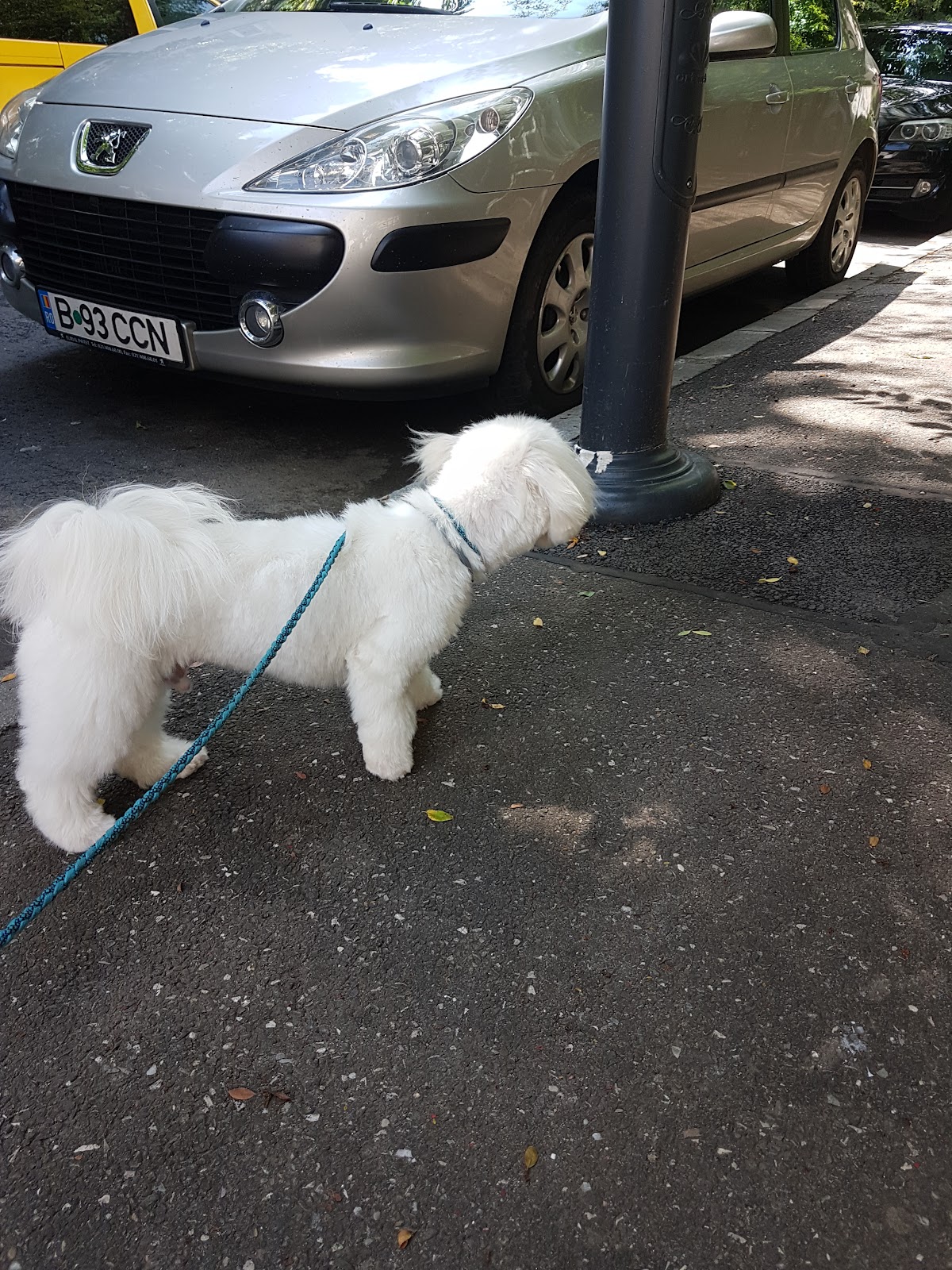 Relax and Grooming photo 7