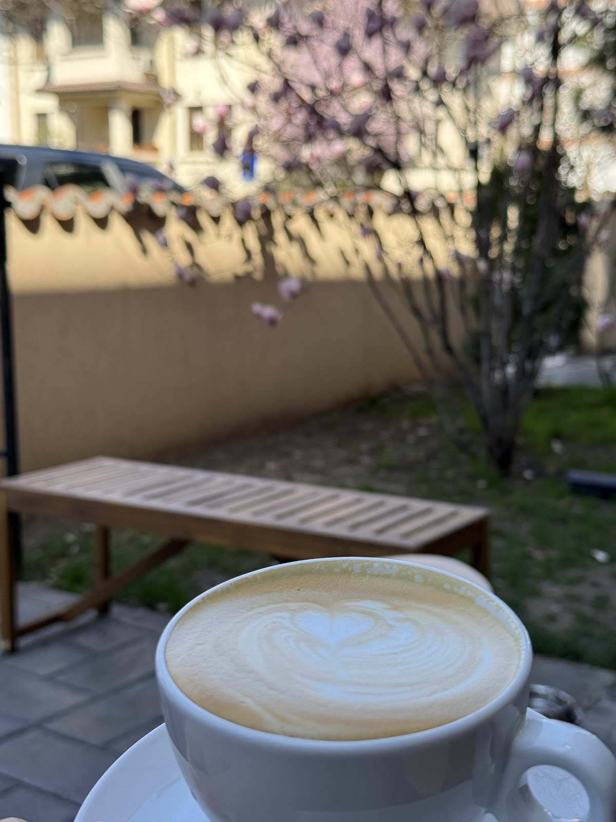 The Bus Specialty Coffee photo 6